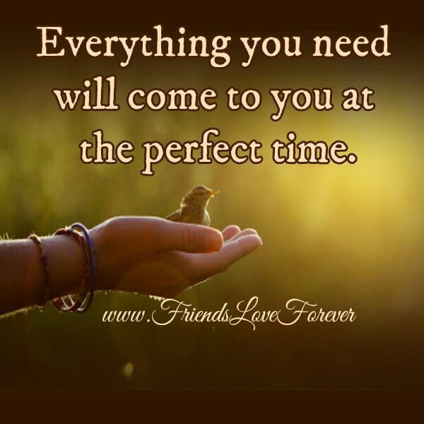 Everything you need will come to you at the perfect time