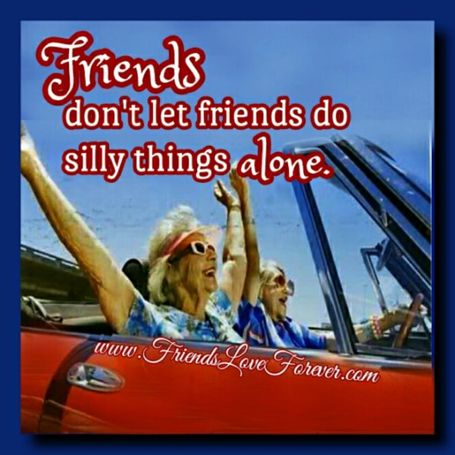 Friends don't let friends do silly things alone