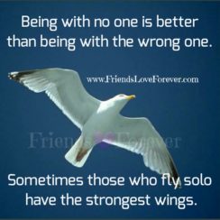 Sometimes those who fly solo have the strongest wings