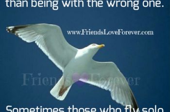 Sometimes those who fly solo have the strongest wings