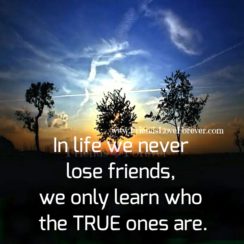 We never lose Friends in Life