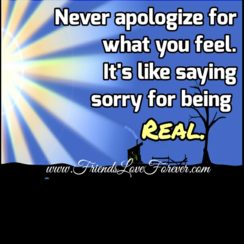 Never apologize for what you feel