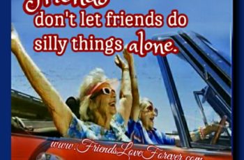 Friends don’t let friends do silly things alone
