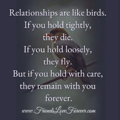 Relationships are like birds