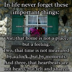 In life, never forget these important things